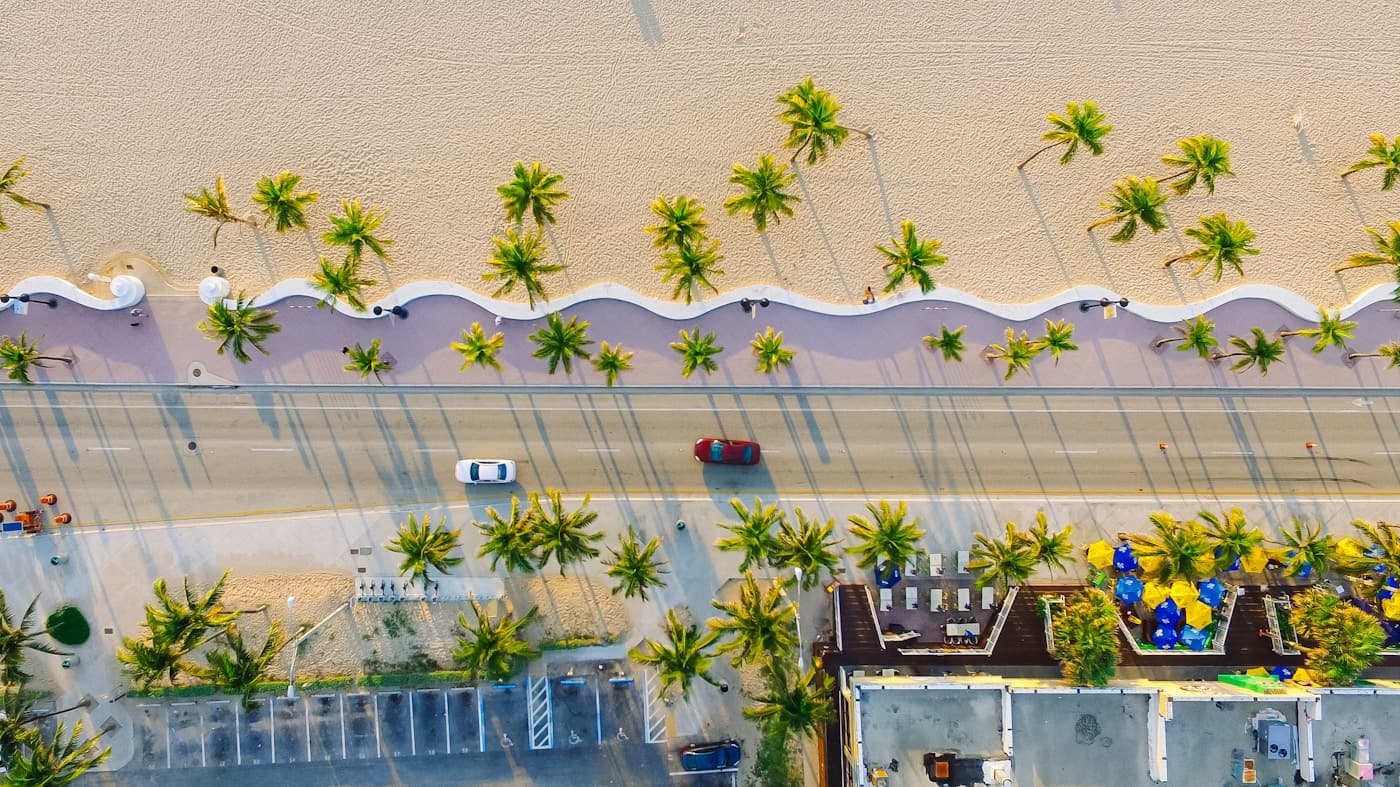 An aerial view of a palm-lined road running through a residential area.