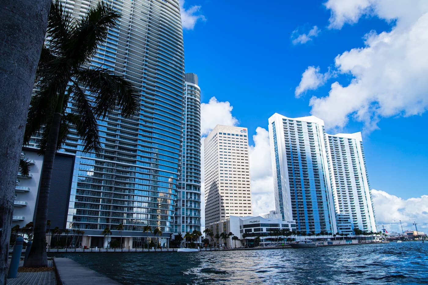 The Miami skyline seen across the water, with palm trees in the foreground.