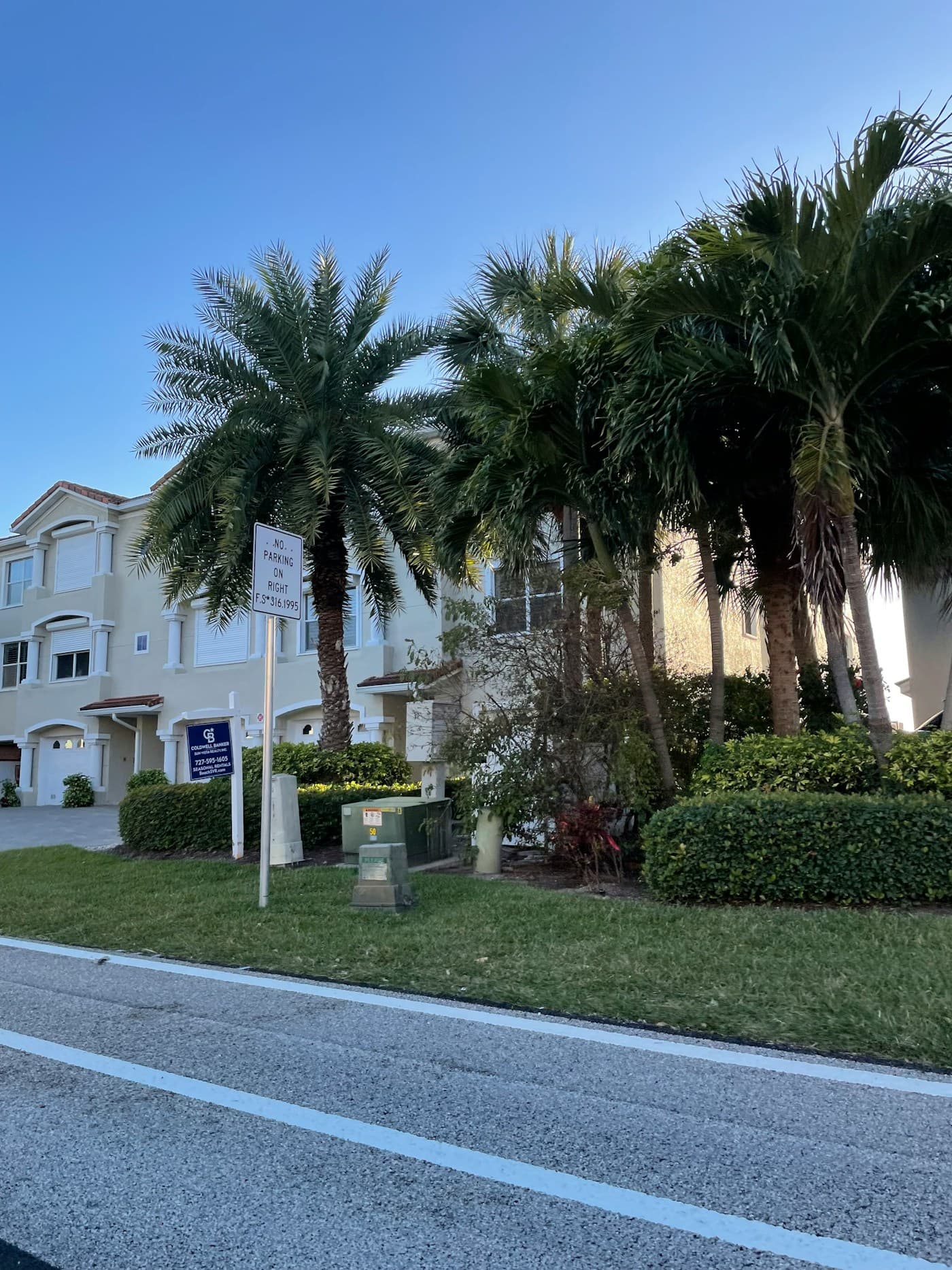 A palm-lined residential street in front of a row of houses.